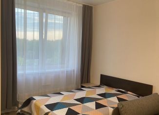 Сдается квартира студия, 30.5 м2, Пермь, улица Борцов Революции, 1А, Ленинский район