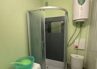 Сдается в аренду однокомнатная квартира, 30 м2, Пермь, улица Веры Засулич, 50А, ЖК Самоцветы