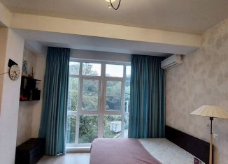 Продается квартира студия, 28 м2, Сочи, микрорайон Яна Фабрициуса, улица Яна Фабрициуса, 2/26А