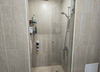 Сдам в аренду двухкомнатную квартиру, 48.2 м2, Сочи, Кирпичная улица, 2к1, ЖК Триумф