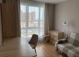 Сдам квартиру студию, 22.8 м2, посёлок Парголово, Толубеевский проезд, 8к2