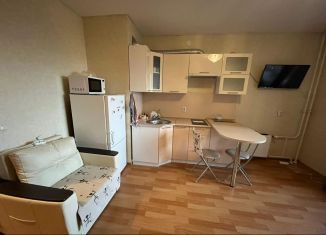 Сдам квартиру студию, 26 м2, посёлок Парголово, Заречная улица, 33