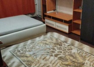 Сдам в аренду 1-ком. квартиру, 25 м2, Новосибирск, улица Жуковского, 117/1, Заельцовский район