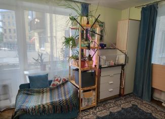 Продажа 1-ком. квартиры, 30.8 м2, Санкт-Петербург, шоссе Революции, 20, Красногвардейский район
