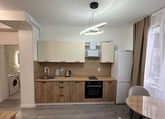 Сдаю в аренду квартиру студию, 27 м2, Мурино, улица Шоссе в Лаврики, 53к2