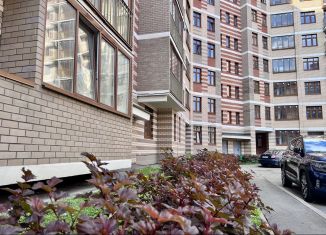 Продажа квартиры студии, 33 м2, деревня Ивановское, улица Семёна Гордого, 5