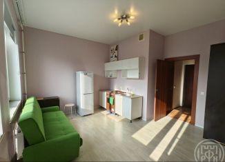 Продажа квартиры студии, 24 м2, Петергоф, Парковая улица, 20к3с4