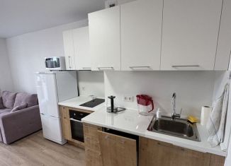 Аренда квартиры студии, 25 м2, Колпино, улица Севастьянова, 32к4