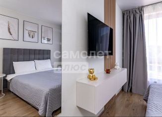 Продажа квартиры студии, 26.3 м2, Санкт-Петербург, Невский район, Варфоломеевская улица, 6