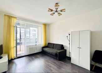Продам квартиру студию, 26.7 м2, Санкт-Петербург, проспект Ветеранов, Красносельский район