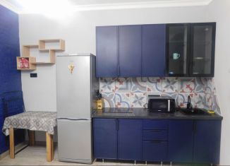 Продам комнату, 23.9 м2, Санкт-Петербург, Офицерский переулок, муниципальный округ Петровский