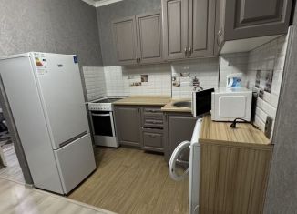 Сдача в аренду 1-комнатной квартиры, 30 м2, Татарстан, улица Профессора Камая, 10к1