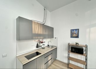 Сдаю в аренду квартиру студию, 25 м2, деревня Новое Девяткино, Главная улица, 10