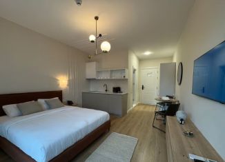 Квартира на продажу студия, 22.8 м2, Сочи, Православная улица, 20/2, микрорайон Энергетик-Изумруд