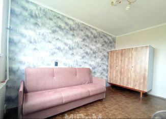 Сдам в аренду 2-ком. квартиру, 45 м2, Санкт-Петербург, улица Тамбасова, 2к3, Красносельский район