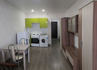 Сдаю квартиру студию, 24 м2, Мурино, Петровский бульвар, 7, ЖК Ласточка