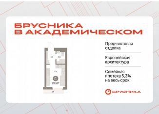 Продаю квартиру студию, 20.5 м2, Екатеринбург