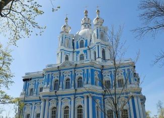 Продажа квартиры студии, 24.4 м2, Санкт-Петербург, улица Жукова, 1, метро Ладожская