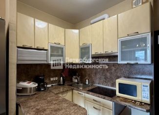 Продается квартира студия, 24.3 м2, Санкт-Петербург, Пулковская улица, 8к3, метро Звёздная