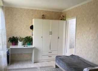 Сдача в аренду 1-ком. квартиры, 32 м2, Санкт-Петербург, Гданьская улица, 5к2, Выборгский район