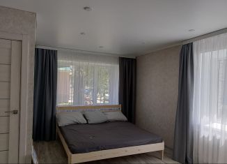 Сдача в аренду квартиры студии, 33 м2, Нефтекамск, Социалистическая улица, 20