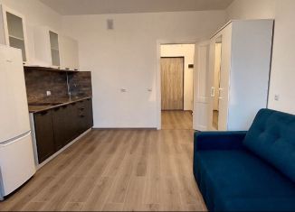 Сдаю квартиру студию, 30 м2, Санкт-Петербург, улица Маршала Захарова, Красносельский район