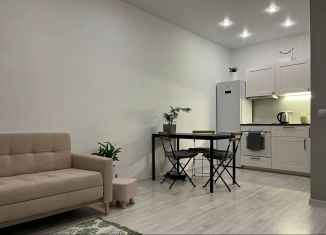 Продается 1-комнатная квартира, 35.1 м2, Сестрорецк, Гагаринская улица, 77к1, ЖК Дом у разлива