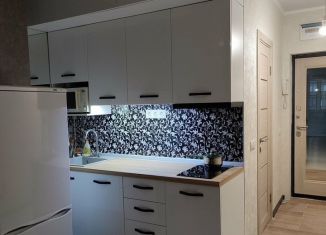 Квартира в аренду студия, 26 м2, Ростов-на-Дону, улица Герасименко, 17/2, ЖК Сердце Ростова