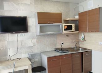 Продается квартира студия, 18.7 м2, Тюмень, улица Новосёлов, 117