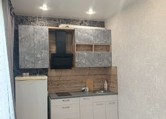 Квартира на продажу студия, 28 м2, Новосибирская область, улица Виктора Уса, 1