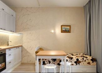 Продается квартира студия, 24 м2, Санкт-Петербург, Планерная улица, 87к1, муниципальный округ Юнтолово