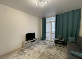 Квартира на продажу студия, 24.1 м2, деревня Анкудиновка, Русская улица, 3