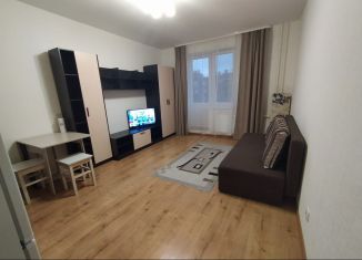 Сдается в аренду квартира студия, 24 м2, Колпино, улица Севастьянова, 28к1