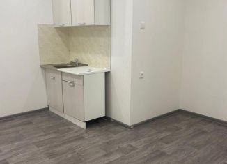 Сдаю в аренду квартиру студию, 24 м2, Челябинск, улица Блюхера, 123Д