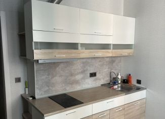 Сдаю в аренду квартиру студию, 23 м2, Краснодар, улица Ивана Беличенко, Прикубанский округ