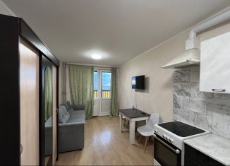 Сдаю квартиру студию, 19.1 м2, Мурино, Воронцовский бульвар, 19к1