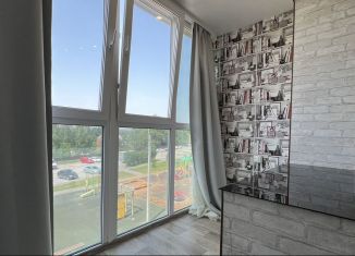 Продажа квартиры студии, 30.3 м2, село Михайловка, Сливовая улица, 9