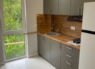 Продажа 1-ком. квартиры, 28.6 м2, Сочи, улица Тимирязева, 42/7, микрорайон Донская