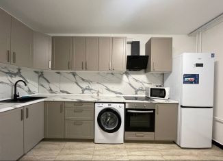 Сдается в аренду 1-комнатная квартира, 36.6 м2, Мурино, Екатерининская улица