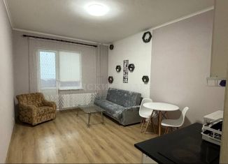 Сдаю квартиру студию, 27.8 м2, деревня Голубое, Парковый бульвар, 5