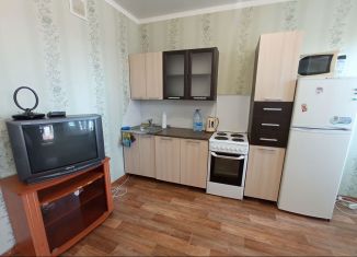 Сдаю квартиру студию, 33 м2, Тобольск, микрорайон 3Б, 19