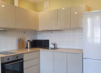 Сдается квартира студия, 26 м2, Мурино, Екатерининская улица, 6к1