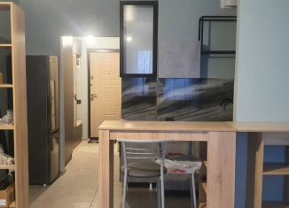 Сдаю в аренду квартиру студию, 28.9 м2, Тульская область, Новомосковская улица, 14