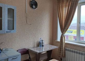 Сдаю в аренду квартиру студию, 22 м2, Новосибирск, Коченевская улица, 1А, метро Заельцовская