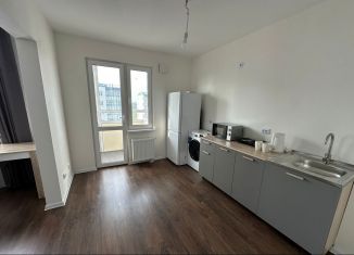 Сдаю 1-комнатную квартиру, 27 м2, Санкт-Петербург, Пахомовская улица, 26, метро Академическая