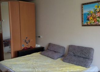 Сдам в аренду 1-ком. квартиру, 30 м2, Тюмень, улица Ватутина, 12