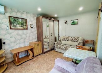 Продам 2-ком. квартиру, 24 м2, Димитровград, улица М. Тореза, 3А