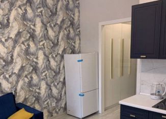 Продажа квартиры студии, 18.9 м2, Москва, Заводской проезд, 11