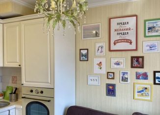 Сдаю 1-комнатную квартиру, 40 м2, Санкт-Петербург, Новобелицкая улица, 6к2, Красносельский район
