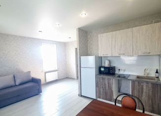 Сдается квартира студия, 28.4 м2, Тюмень, улица Республики, 204к5